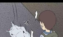 没有钱动漫,没有钱的动漫世界